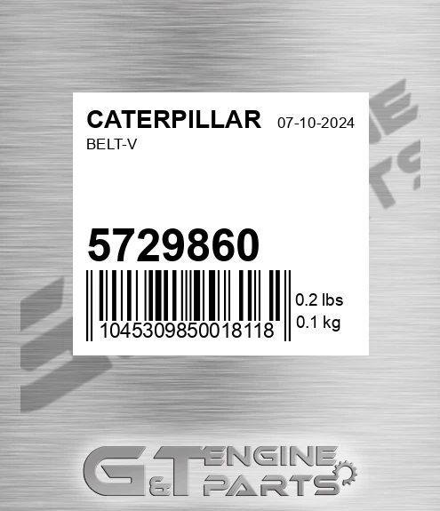 5729860 Belt-v