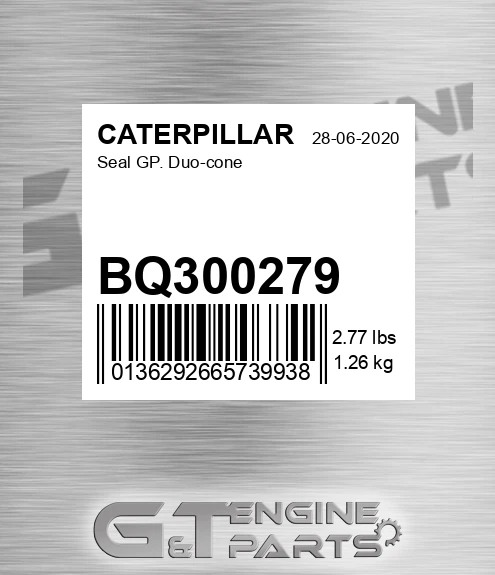 BQ300279 Seal Gp. Duo-cone