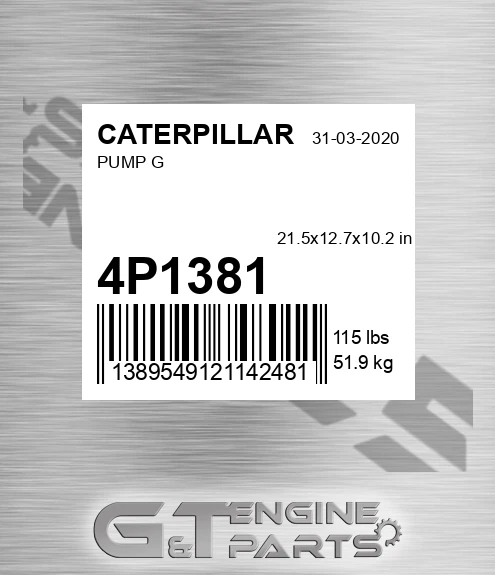 4P1381 Pump G