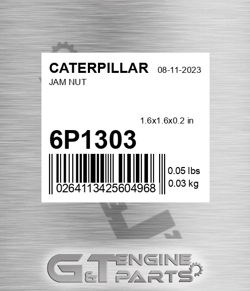 6P1303 Jam Nut