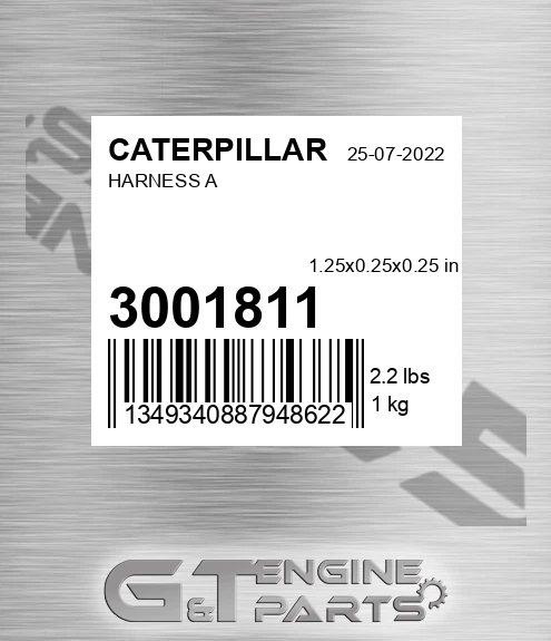 3001811 Harness A