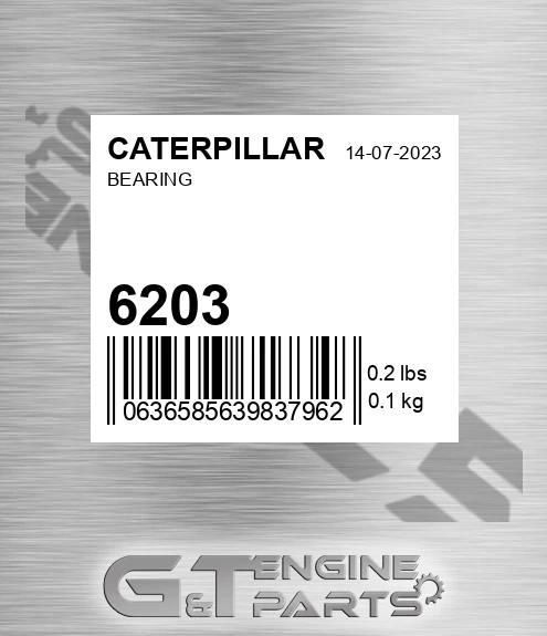 6203 Bearing