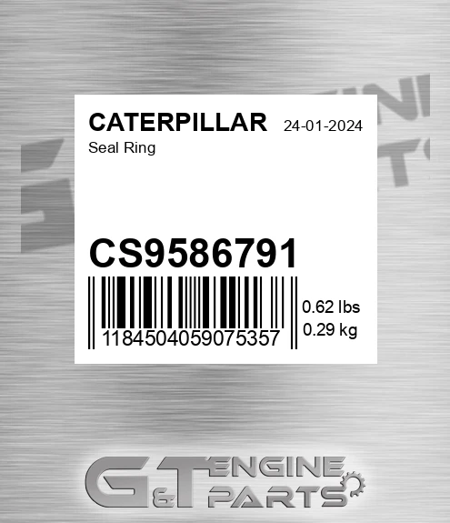 CS9586791 Seal Ring