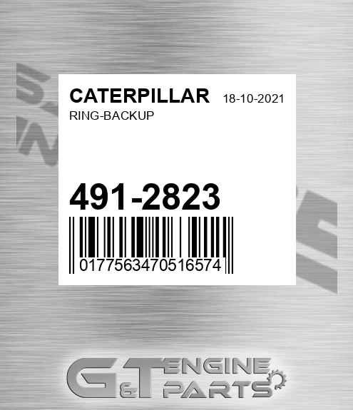 491-2823 Ring-backup