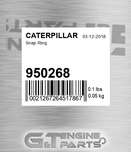 950268 Snap Ring