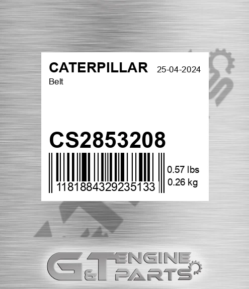 CS2853208 Belt