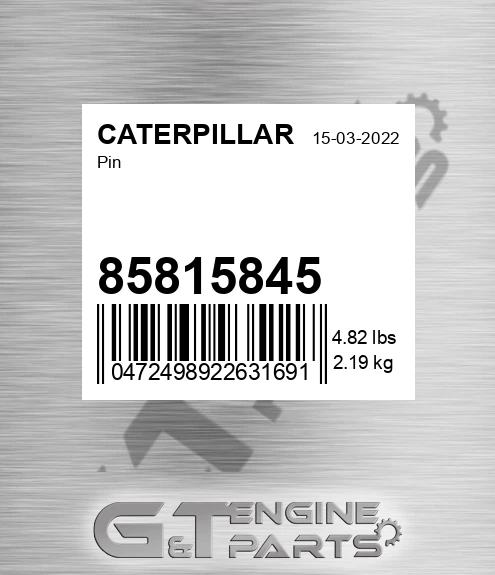 85815845 Pin