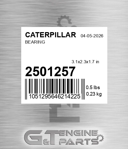 2501257 Bearing