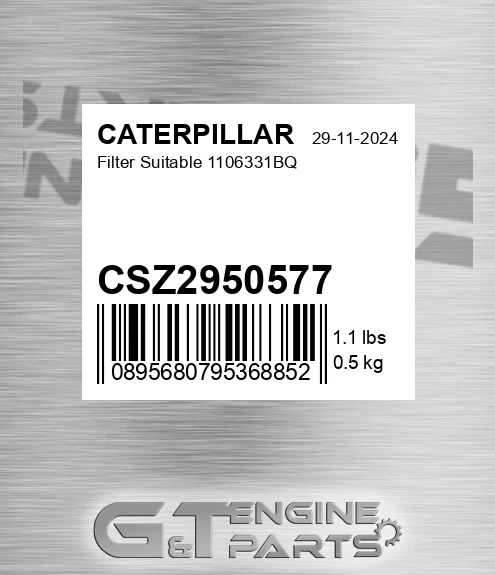CSZ2950577 Filter Suitable 1106331bq