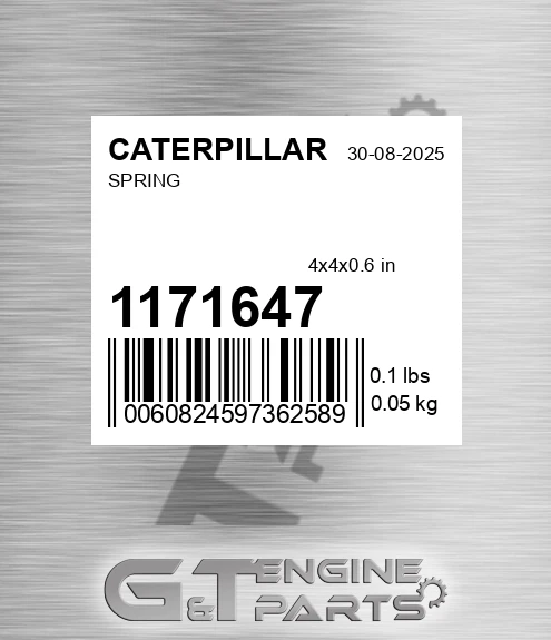 1171647 Spring