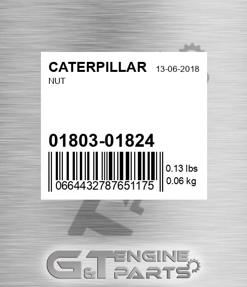 01803-01824 Nut