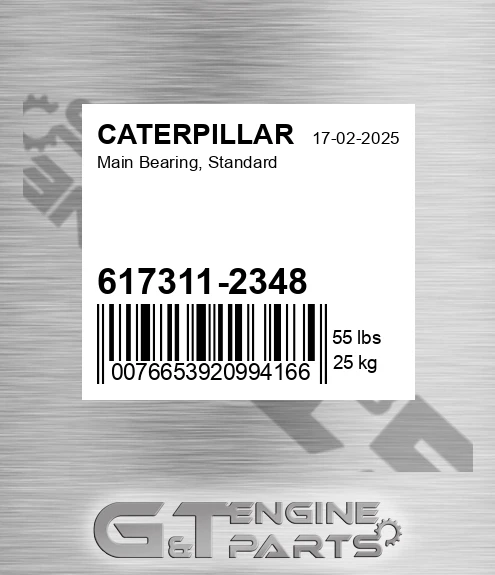 617311-2348 Main Bearing, Standard