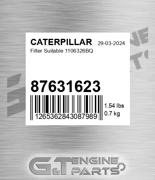 87631623 Filter Suitable 1106326bq