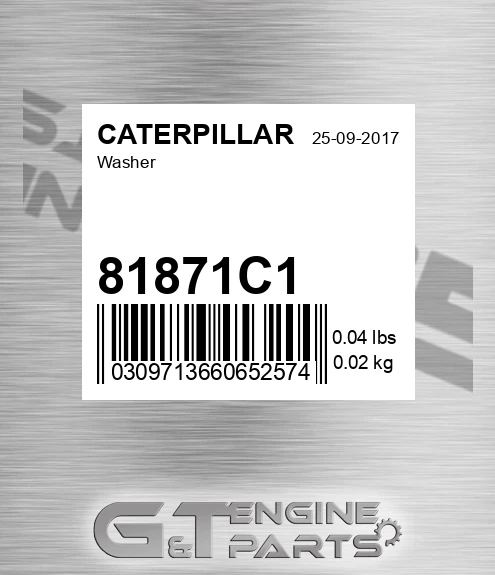 81871C1 Washer