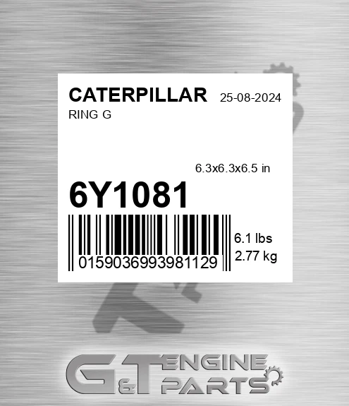 6Y1081 Ring G