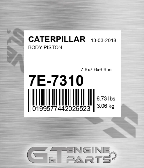 7E-7310 Body Piston