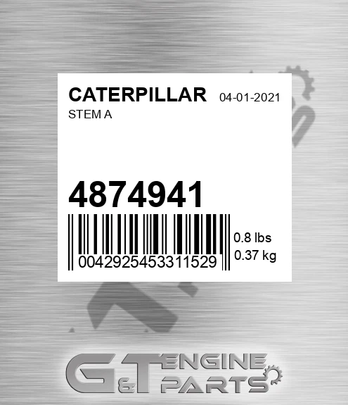 4874941 Stem A