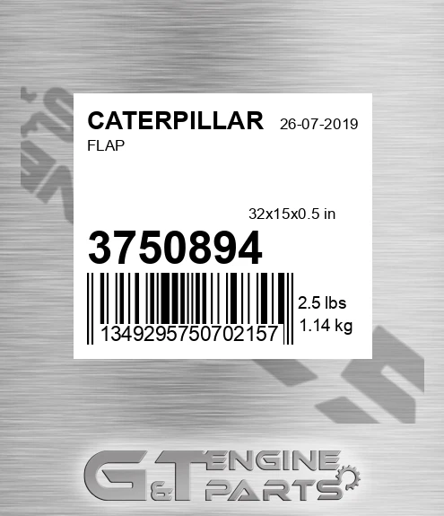 3750894 Flap