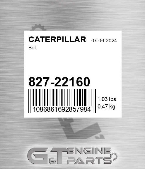 827-22160 Bolt