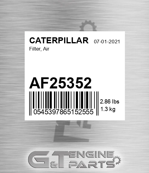 AF25352 Filter, Air