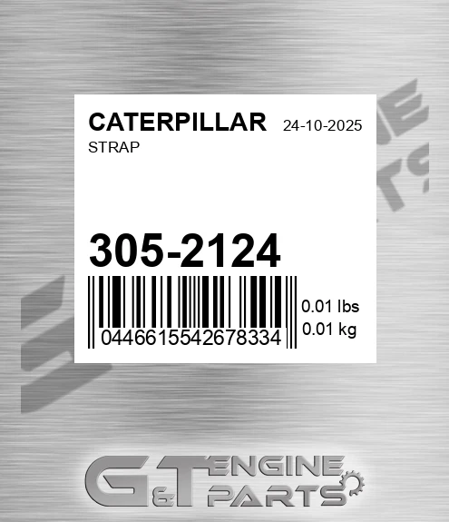 305-2124 Strap