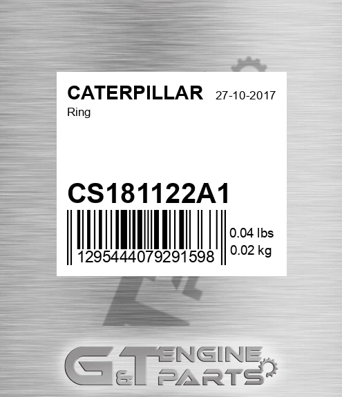 CS181122A1 Ring