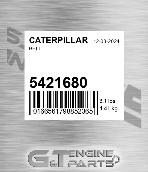 5421680 Belt