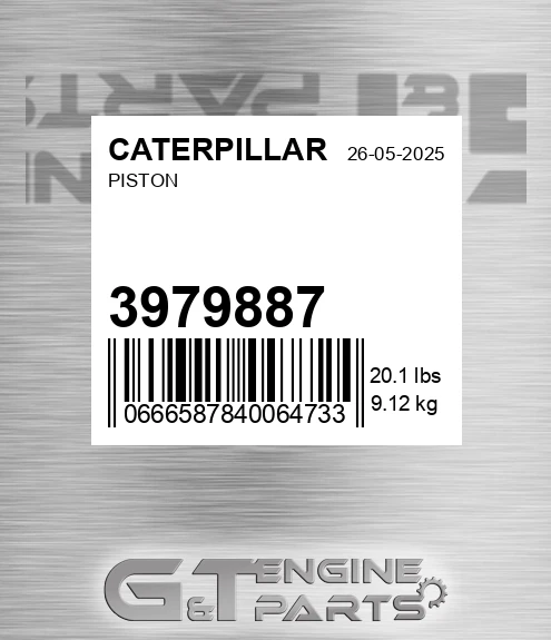 3979887 Piston