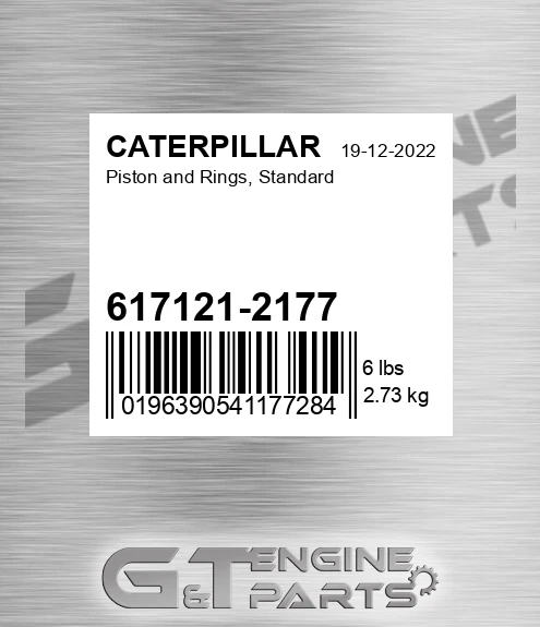 617121-2177 Piston And Rings, Standard
