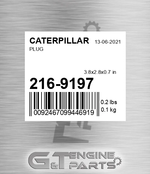 216-9197 Plug