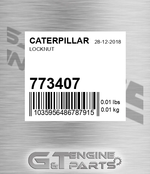 773407 Locknut