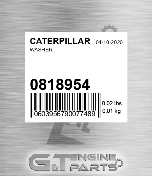 081-8954 Washer