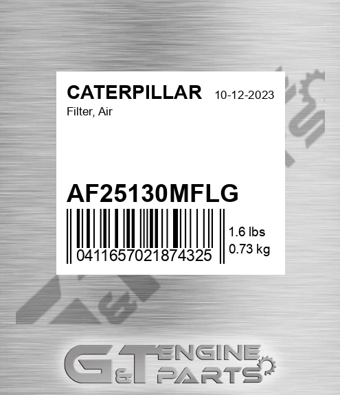 AF25130MFLG Filter, Air