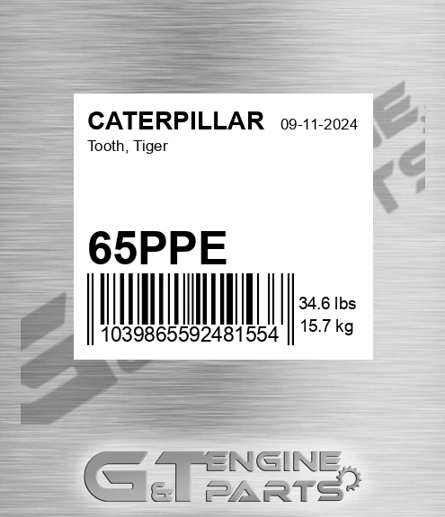 65PPE Tooth, Tiger