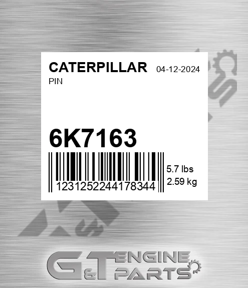6K-7163 Pin
