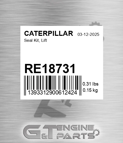 RE18731 Seal Kit, Lift