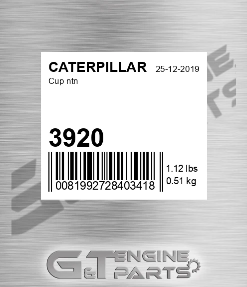 3920 Cup Ntn