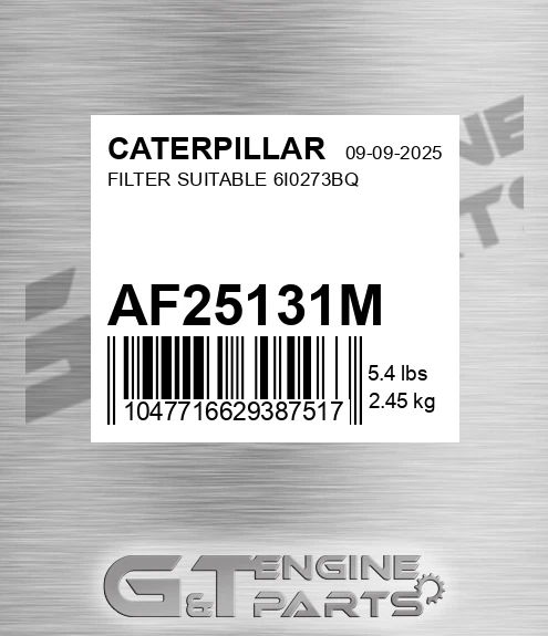 AF25131M Filter Suitable 6i0273bq