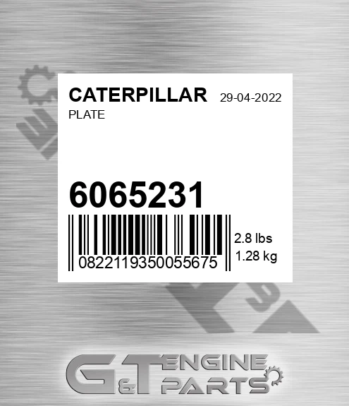 6065231 Plate