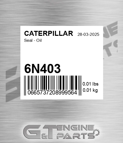 6N403 Seal - Oil