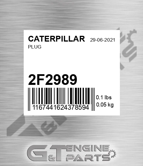 2F-2989 Plug