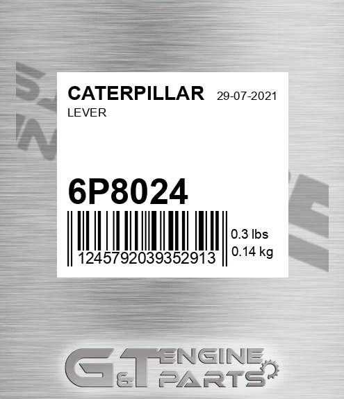 6P8024 Lever
