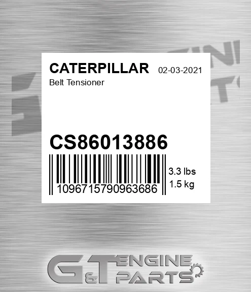 CS86013886 Belt Tensioner