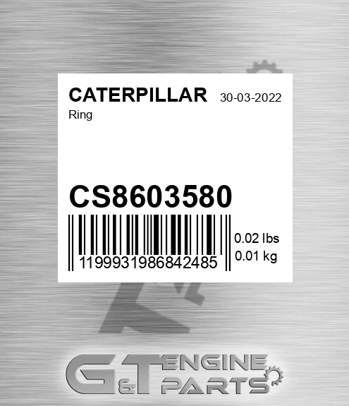 CS8603580 Ring