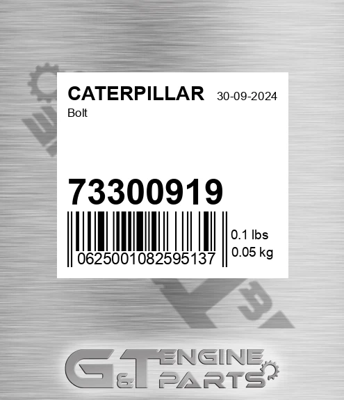 73300919 Bolt