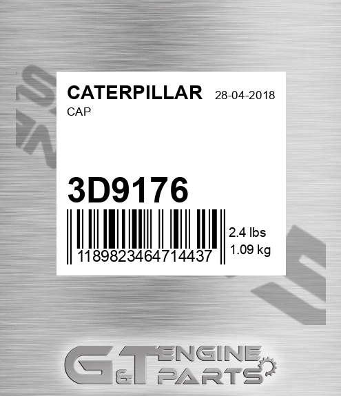 3D9176 Cap