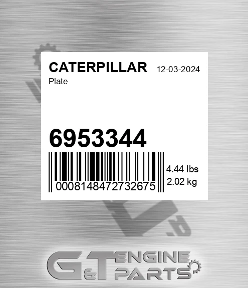 6953344 Plate