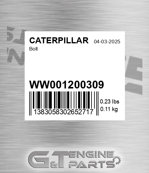 WW001200309 Bolt