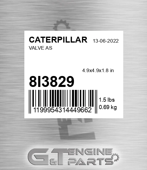 8I3829 Valve As
