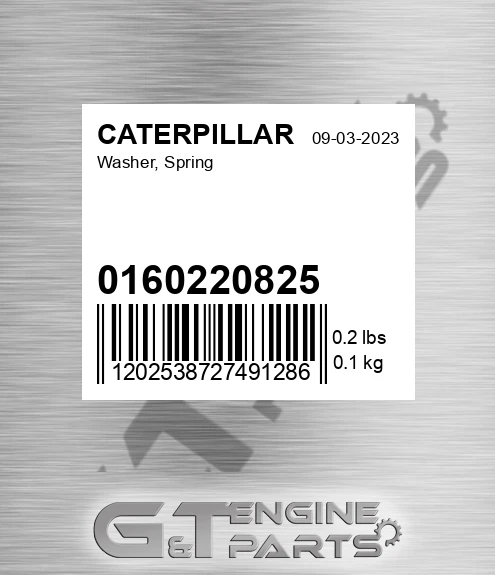 01602-20825 Washer, Spring